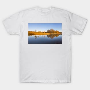 Leg of Mutton Pond in Richmond Park T-Shirt